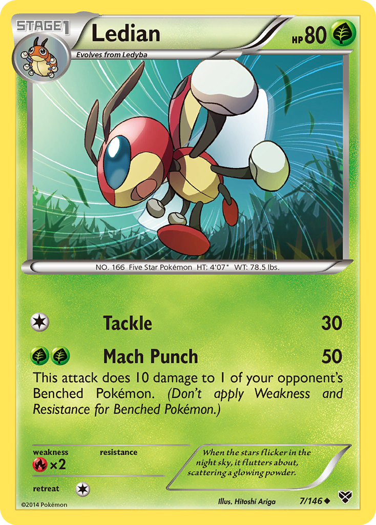 Ledian (7/146) [XY: Base Set] | Rock City Comics