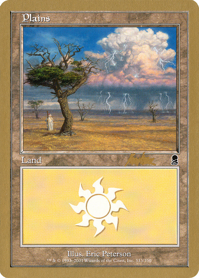 Plains (bk333) (Brian Kibler) [World Championship Decks 2002] | Rock City Comics