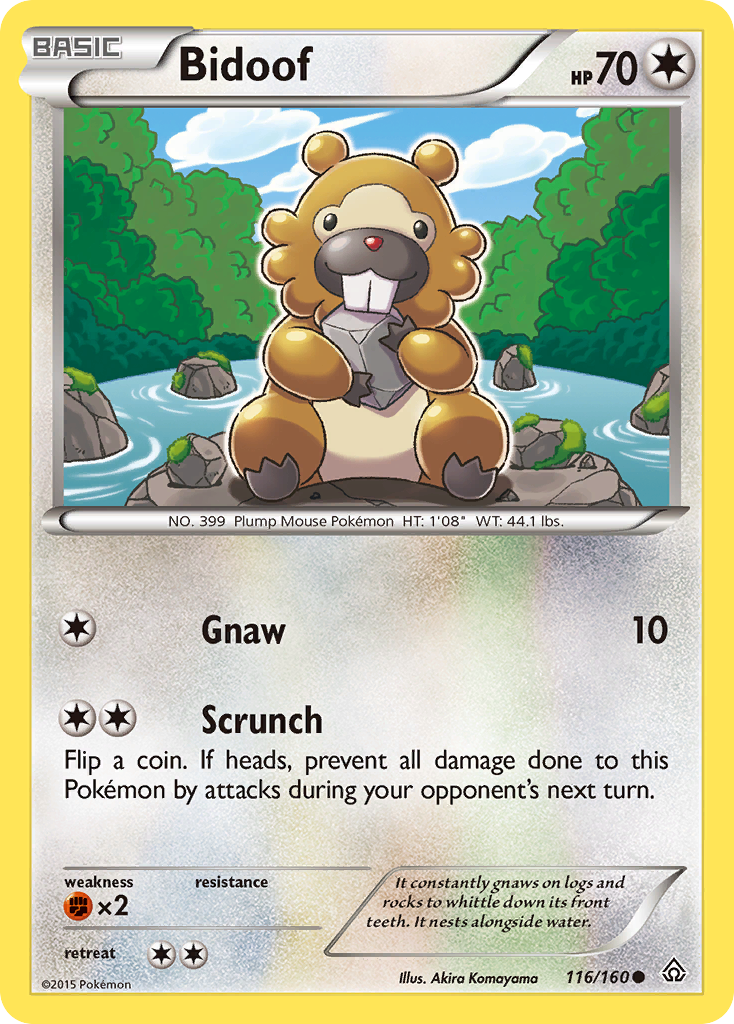 Bidoof (116/160) [XY: Primal Clash] | Rock City Comics