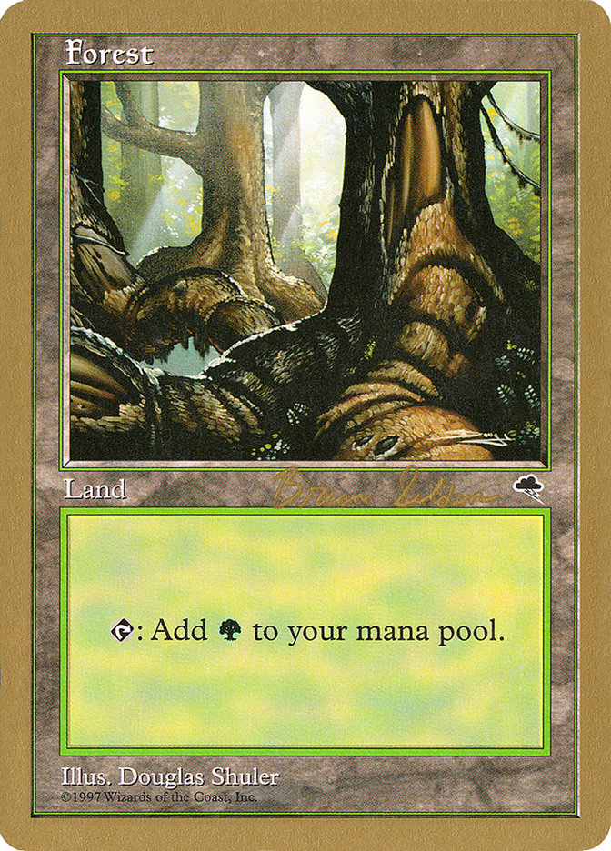 Forest (bs348) (Brian Selden) [World Championship Decks 1998] | Rock City Comics