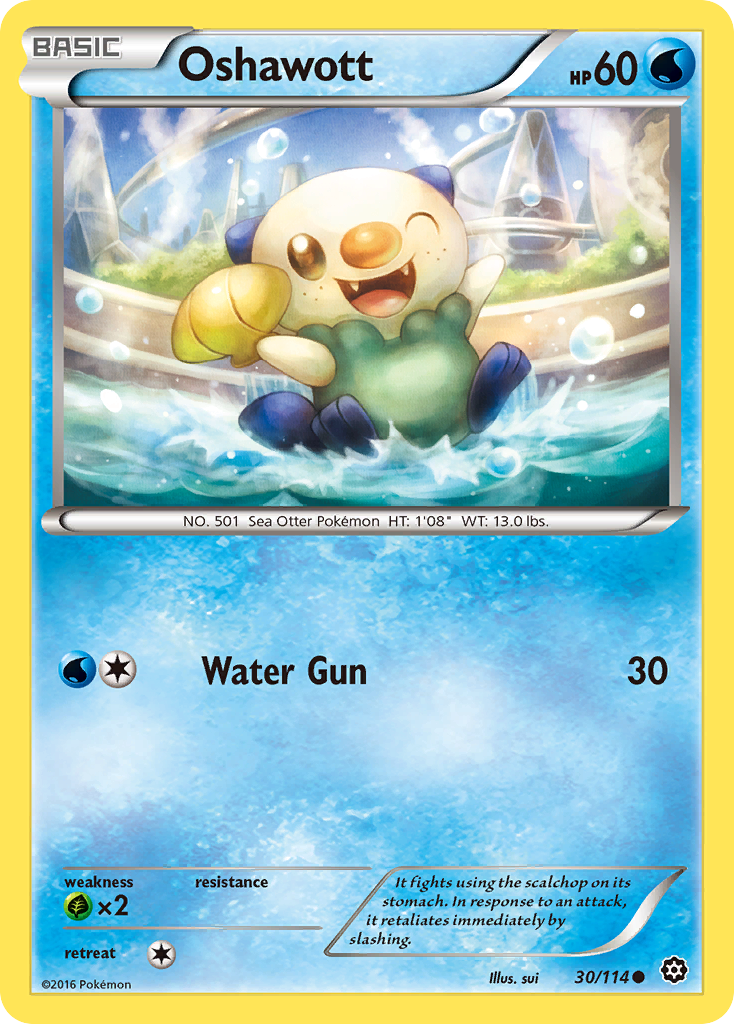 Oshawott (30/114) [XY: Steam Siege] | Rock City Comics