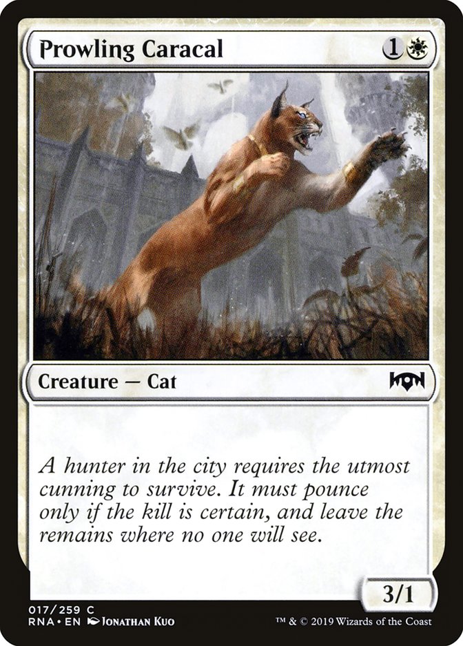 Prowling Caracal [Ravnica Allegiance] | Rock City Comics