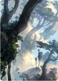 Forest 1 Art Card [Zendikar Rising Art Series] | Rock City Comics