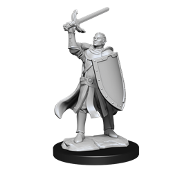 Dungeons & Dragons Nolzur’s Marvelous Miniatures: HALF-ELF PALADIN MALE | Rock City Comics