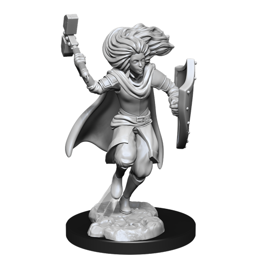 Dungeons & Dragons Nolzur’s Marvelous Miniatures: CHANGELING CLERIC MALE | Rock City Comics