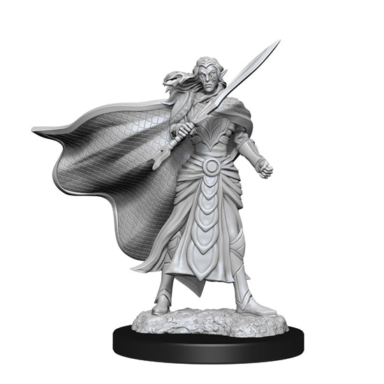 Magic the Gathering Miniatures: FIGHTER/ ELF CLERIC | Rock City Comics